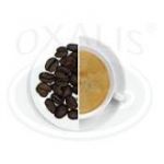 Káva aromatizovaná