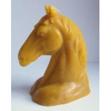 Kůň - hlava