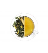 Ledový čaj Broskev - Citron - zelený,aromatizovaný
