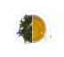 Hříšný tanec ® - zelený,aromatizovaný 70 g