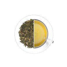 Sencha Satsuma